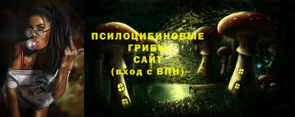 ГАЛЛЮЦИНОГЕННЫЕ ГРИБЫ Козельск