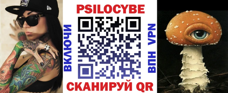 закладка  Черепаново  Псилоцибиновые грибы Psilocybine cubensis 